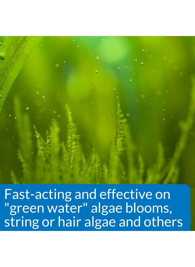 ايه بي آي زجاجة API ALGAEFIX للتحكم في الطحالب سعة 16 أونصة  - Image 3