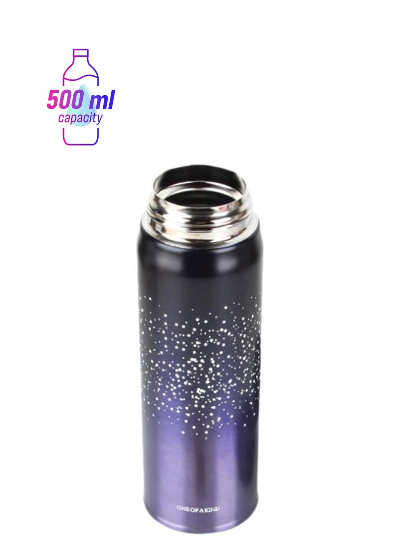 NIBEMINENT New Design Double Wall Thermos Water Bottle Purple/Black/Silver - Image 1