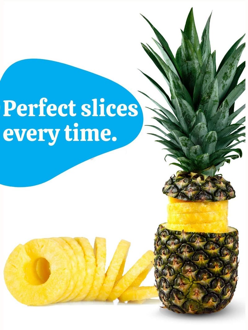 EXPORTTANZA Stainless Steel Pineapple Corer Cutter Slicer Wedger Dicer Peeler Fruit Tool Cut Pineapple Quick and Easy Without a Knife Includes One Year Warranty and a Free Pineapple Recipe eBook - Image 2