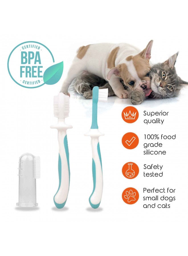 Cherish Baby Care Cherish Pet Care Dog Tooth Brushing Kit (3pcs) - Dog Finger Toothbrush, Double-Sided Toothbrush, Small Dog Toothbrush, Dog Teeth Cleaning, Puppy Tooth Brushing Kit, Small Dog Tooth Brushing Kit  - Image 4