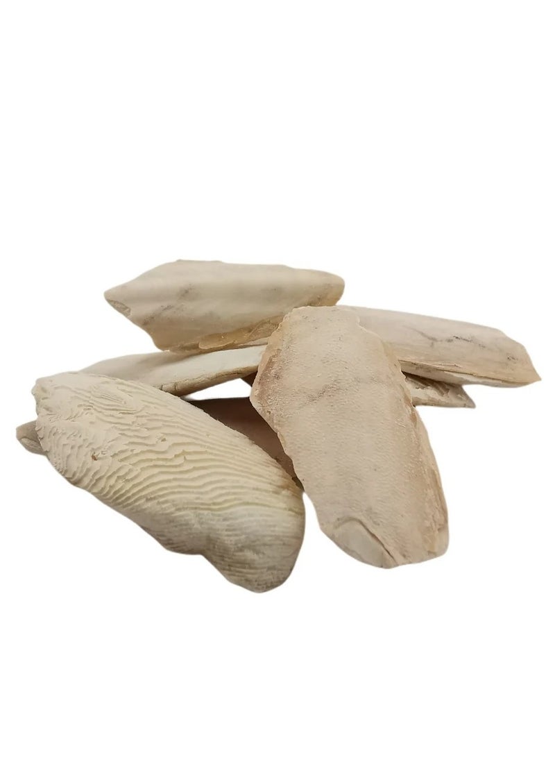 Sea Tongue Herb 250 grams