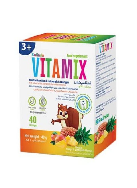 Vita Mix - Multivitamin and Mineral Lozenges (40 Lozenges)