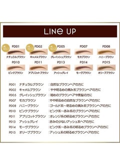 Excel EXCEL Powder & Pencil Eyebrow PD05 gray brown 