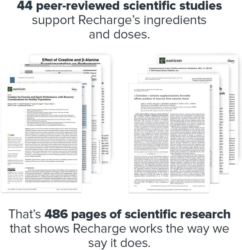 Legion مشروب ليجيون لإعادة الشحن بعد التمرين  كرياتين مونوهايدرات ميكروني  مشروب طبيعي لاستعادة النشاط بعد التمرين  بناء العضلات  معزز الاستشفاء  مكملات ما بعد التمرين بنكهة الحلوى الحامضة  30 حصة - Image 3