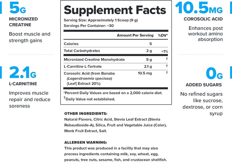 Legion مشروب ليجيون لإعادة الشحن بعد التمرين  كرياتين مونوهايدرات ميكروني  مشروب طبيعي لاستعادة النشاط بعد التمرين  بناء العضلات  معزز الاستشفاء  مكملات ما بعد التمرين بنكهة الحلوى الحامضة  30 حصة - Image 2
