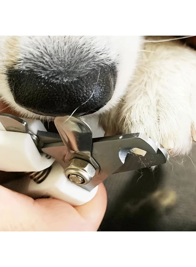 مقص أظافر الحيوانات الأليفة من الفولاذ المقاوم للصدأ الأزرق مع واقي من التناثر لتقليم وتلميع أظافر الكلاب والقطط - Image 5