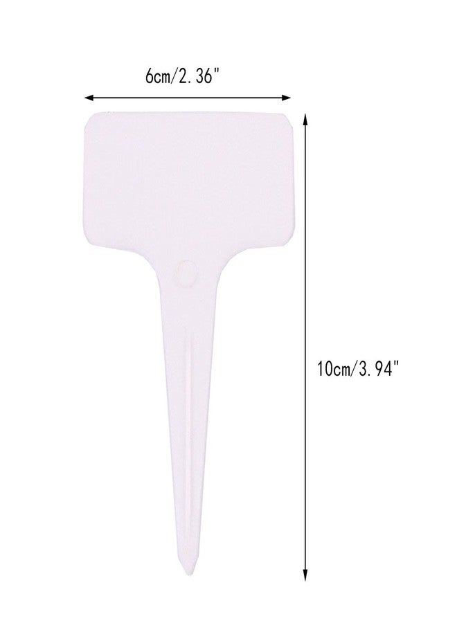 KINGLAKE Plant Labels,100 Pcs Multicolor Waterproof Plastic Plant Tags T-Type Nursery Garden Labels 6 x10cm,5 Colors - Image 3