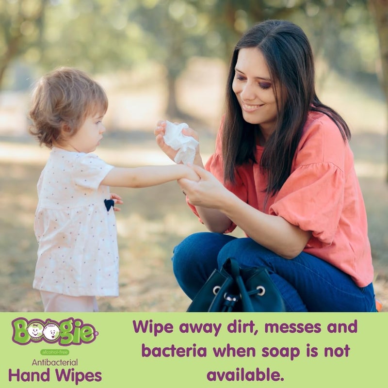 Boogie Antibacterial Hand Wipes by , Alcohol Free, Hypoallergenic and Moisturizing Aloe, for Kids and Adults -100 Total Wipes (5 Packs of 20) - Image 2