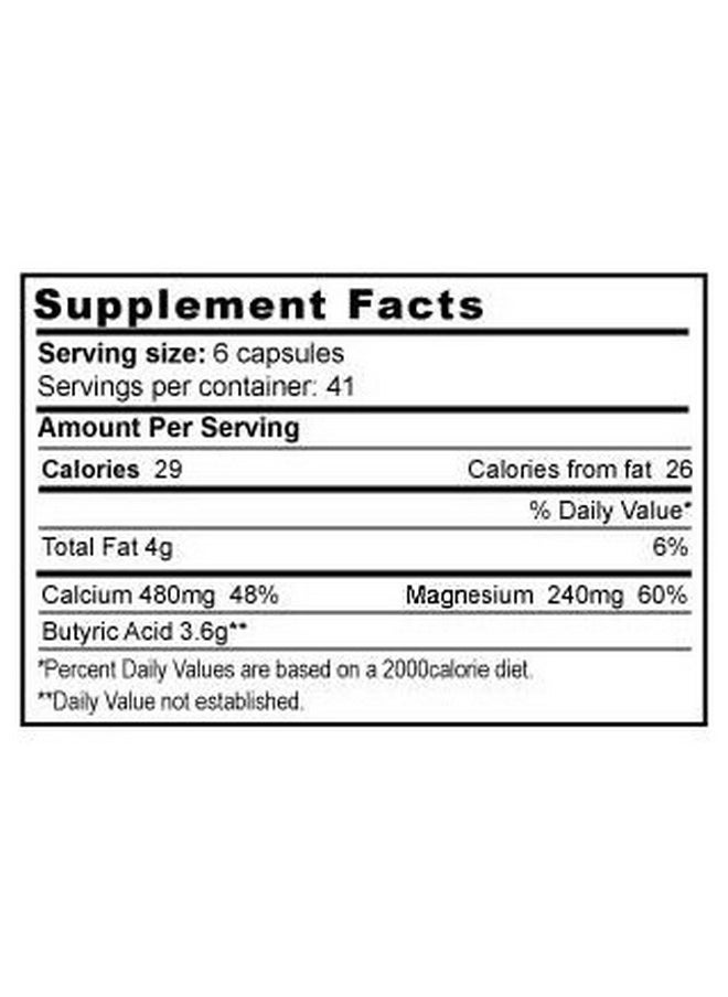 Jigsaw Health Jigsaw Health Butyrex from T.E. Neesby Dietary Supplement, 600mg, 250 Capsules  - Image 2