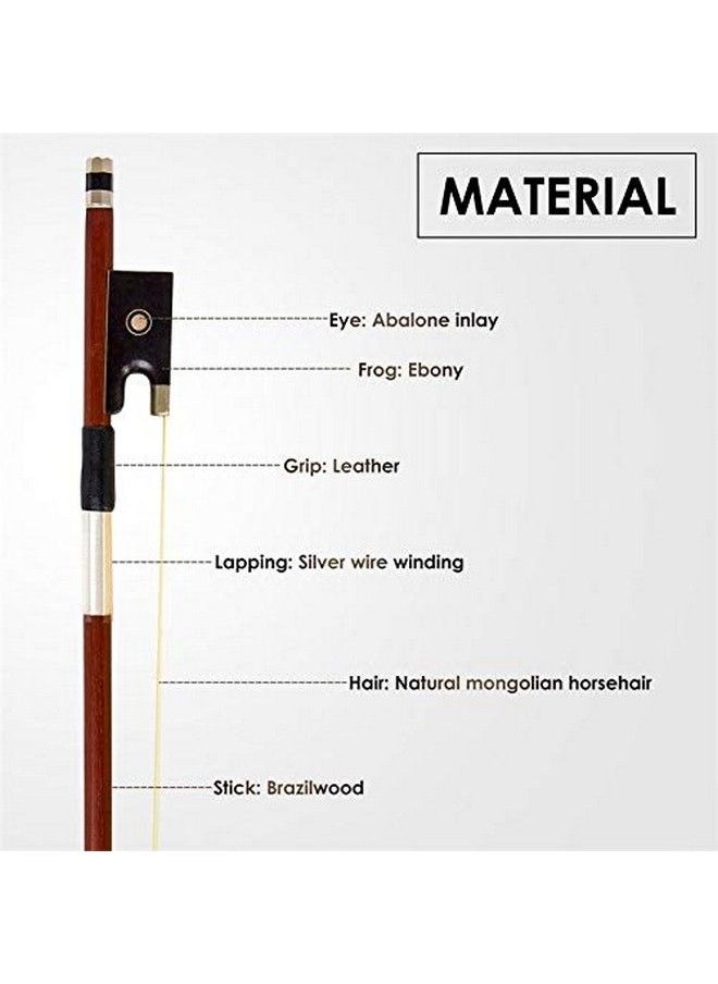 Superior Brazilwood Violin Bow 4 4 For Intermediate And Advance Students Well Balanced Handmade Bow With Ebony Frog And White Horse Hair. - pzsku/ZC0FF28D424873ECE4DD3Z/45/_/1693986198/aea8b6ec-fa0a-4d2c-a4d4-bb83bc6f93cd