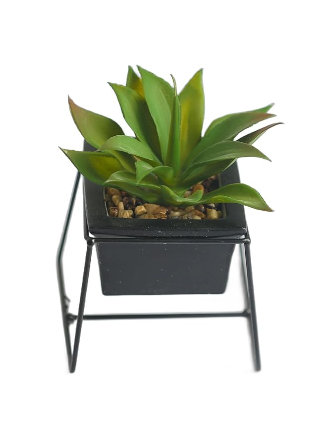 erorex Modern Small Artificial Succulent Jar With Black Stand Fake House Plant In Pot For Home And Office Decor Succulents With Minimal Maintenance Stylish Indoor Artificial Plant 12Cm Green - Image 1