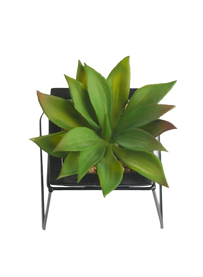 erorex Modern Small Artificial Succulent Jar With Black Stand Fake House Plant In Pot For Home And Office Decor Succulents With Minimal Maintenance Stylish Indoor Artificial Plant 12Cm Green - Image 3