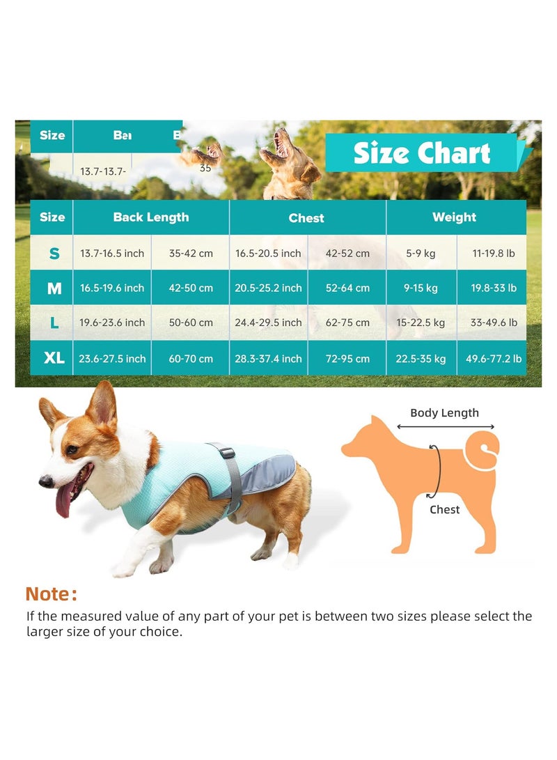 Zikra Dog Cooling Vest, Cooling Vest for Dogs, Dogs Evaporative Cooling Coat Dog Cooling Jacket, Pet Cooling Vest, Breathable Mesh Ice Vest Adjustable Straps Cool Vest, Small Medium & Large Dogs (M) - Image 3