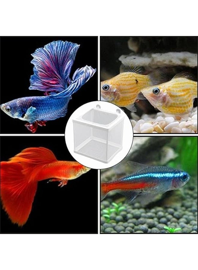 Huangxin 1 Pack Fish Breeder Box for Aquarium,Breeder Box for Fish Tank,Breeding Box for Fish Tank,for Aquarium Juvenile Fishes Separation Net Fry Hatchery with Suction Cups - Image 1