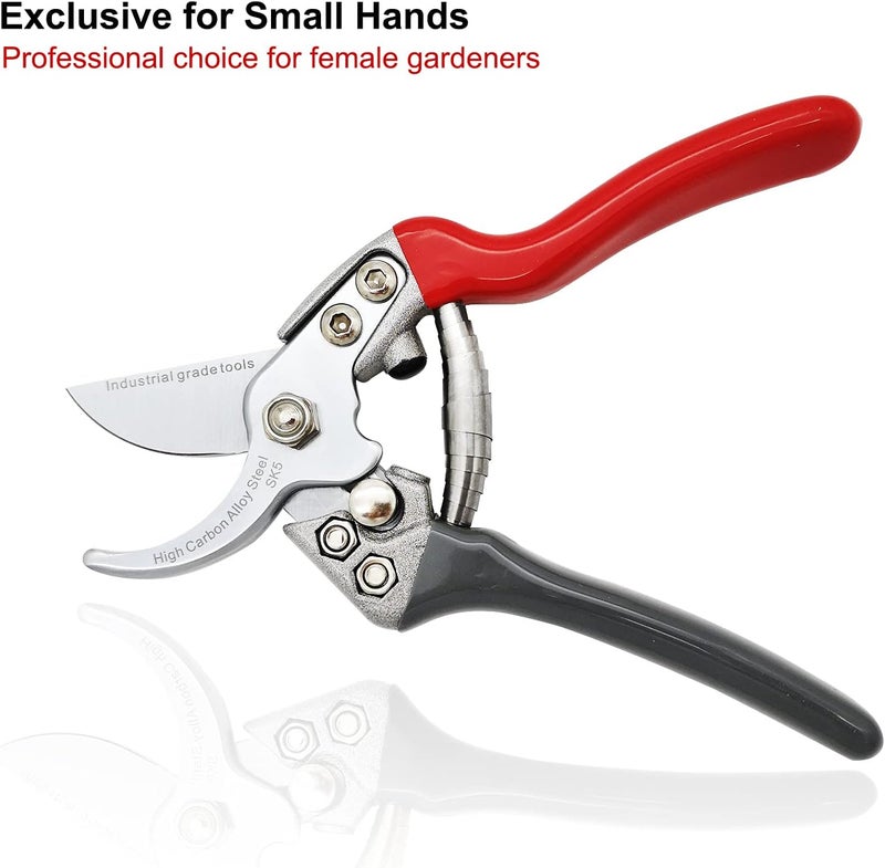 TONMA JP TONMA Pruning Shears [Made in Japan] Professional 7.5 Inch Premium Plant Garden Scissors Secateurs with Ergonomic Handle, Bypass Hand Pruners Branch Gardening Clippers for Plants - Image 2