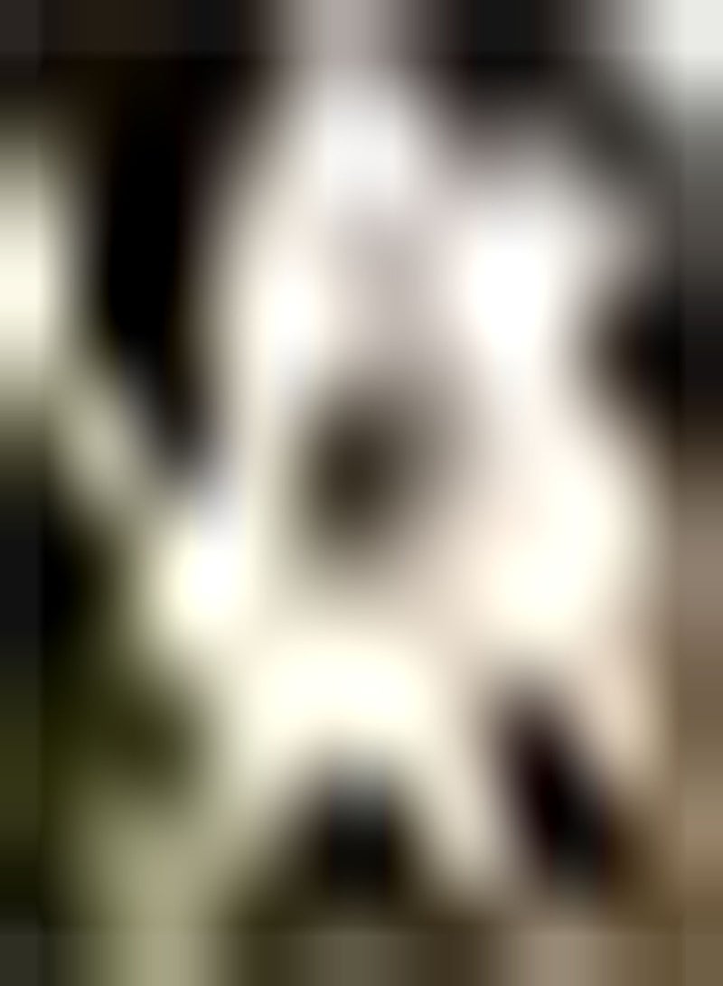 GGOOT 2Stück weiße und rote Amaryllis Zwiebeln mehrjährig winterhart attraktive Dekoration Gartenarbeit geeignet für die Gartenbepflanzung Starke Zierpflanze - Image 2