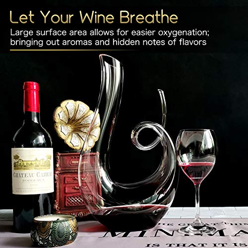 NUTRIUPS Wine Decanter, Hand Blown Swan Red Wine Decanters, Carafe Decanter for Wine - Image 5