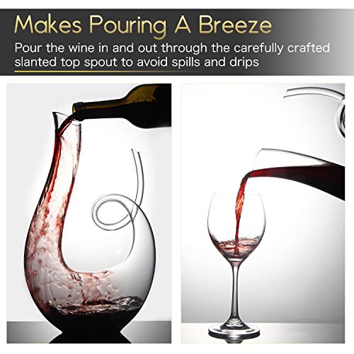 NUTRIUPS Wine Decanter, Hand Blown Swan Red Wine Decanters, Carafe Decanter for Wine - Image 4