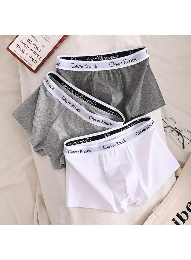 clever Men's regular-leg boxer briefs, 3-pack - Image 3