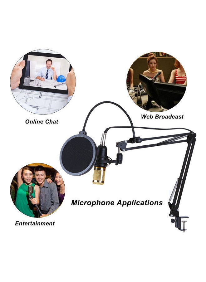 Loquat Multifunctional Live Sound Card And BM800 Suspension Microphone Kit  - Image 3