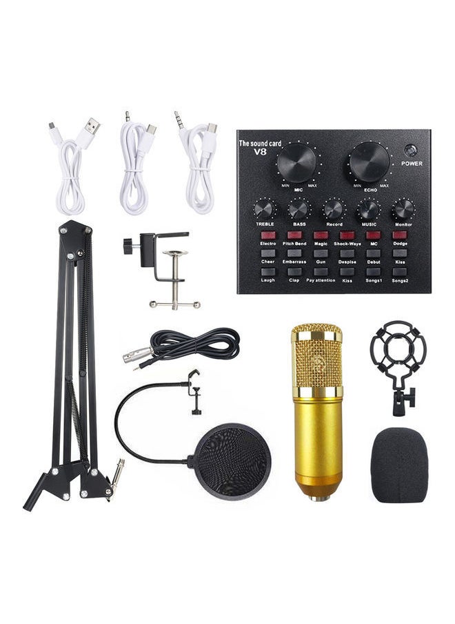 Loquat Multifunctional Live Sound Card And BM800 Suspension Microphone Kit  - Image 1