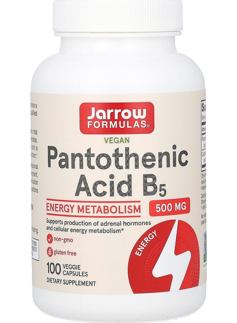 jarrow formulas Pantothenic Acid B5, 500 mg, 100 Veggie Caps