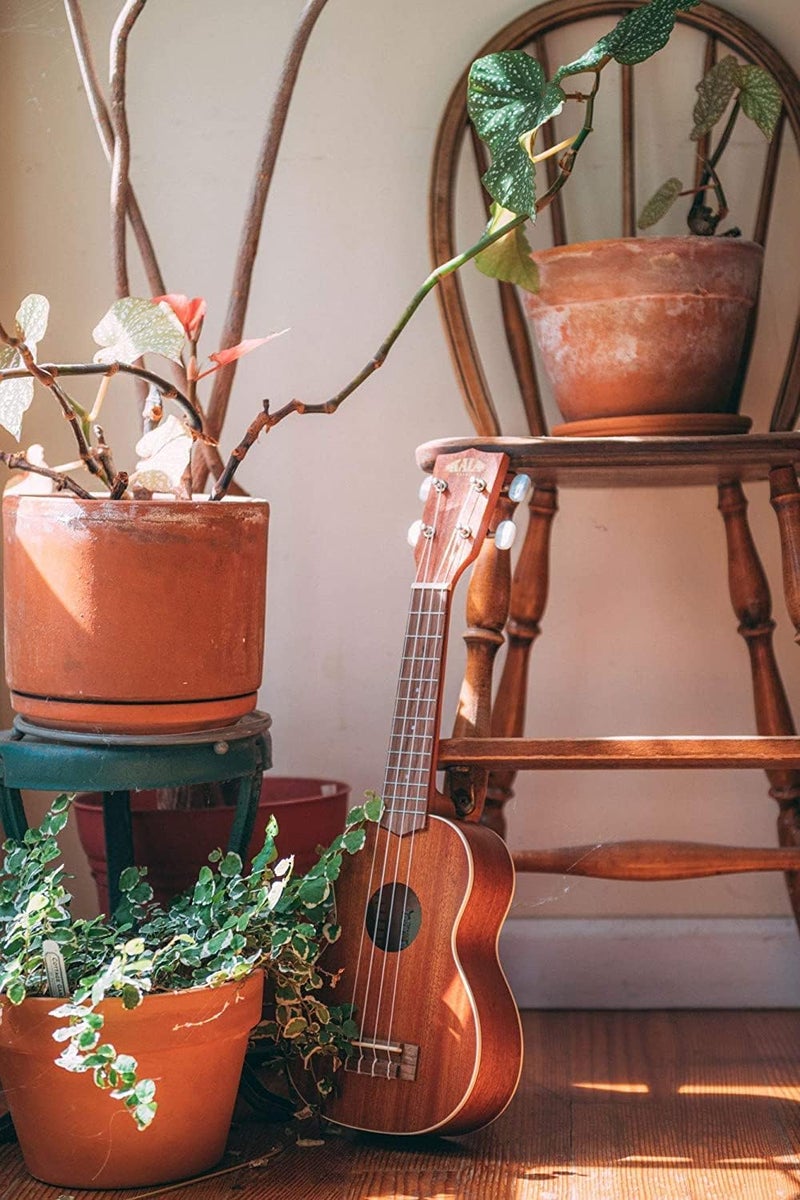 Kala Satin Mahogany Soprano Rosewood Update - Image 1