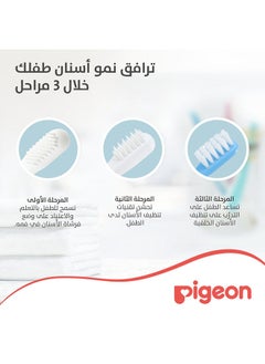 Baby Training Toothbrush Set - pzsku/ZC10732665888AA8893F0Z/45/_/1688643234/04cd369b-d931-4d71-b5c4-db138c4e078e