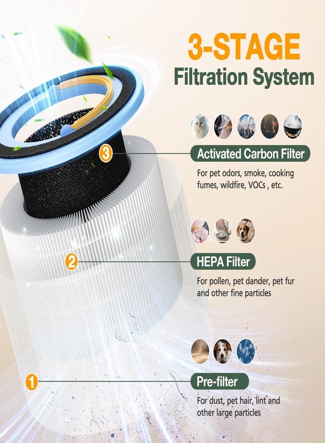 إزينلايف فلتر بديل من سبراوت متوافق مع جهاز تنقية الهواء ليفويت سبراوت، فلتر هيبا 3 في 1، فلتر كربون نشط عالي الكفاءة وفلتر أولي للغبار وحبوب اللقاح ودخان الحيوانات الأليفة ودخان حرائق الغابات، عبوة من قطعتين، أبيض - Image 3