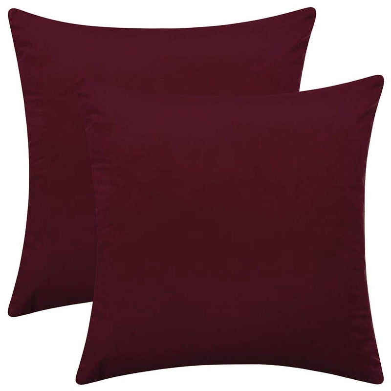 Rythome Set of 2 Comfortable Velvet Throw Pillow Cases Decorative Solid Cushion Covers for Sofa Couch and Bed 20x20 Burgundy