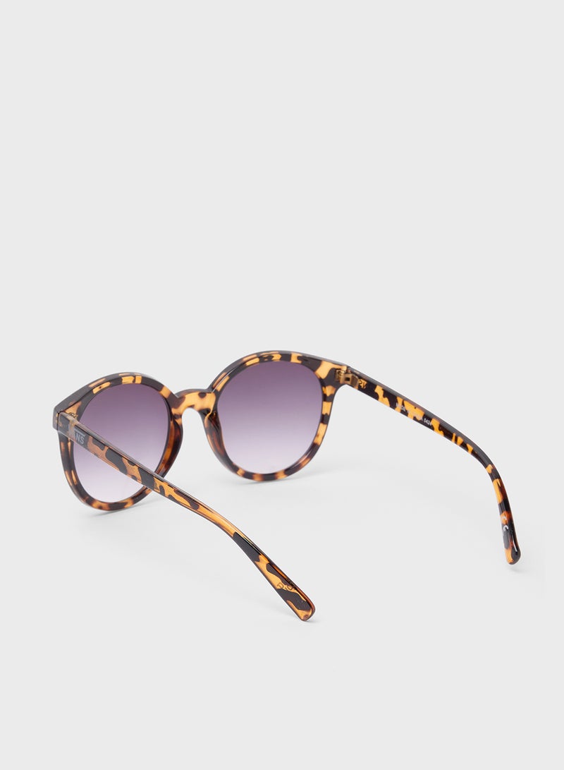 فانز نظارات شمسية للصباح المشرق - Image 2