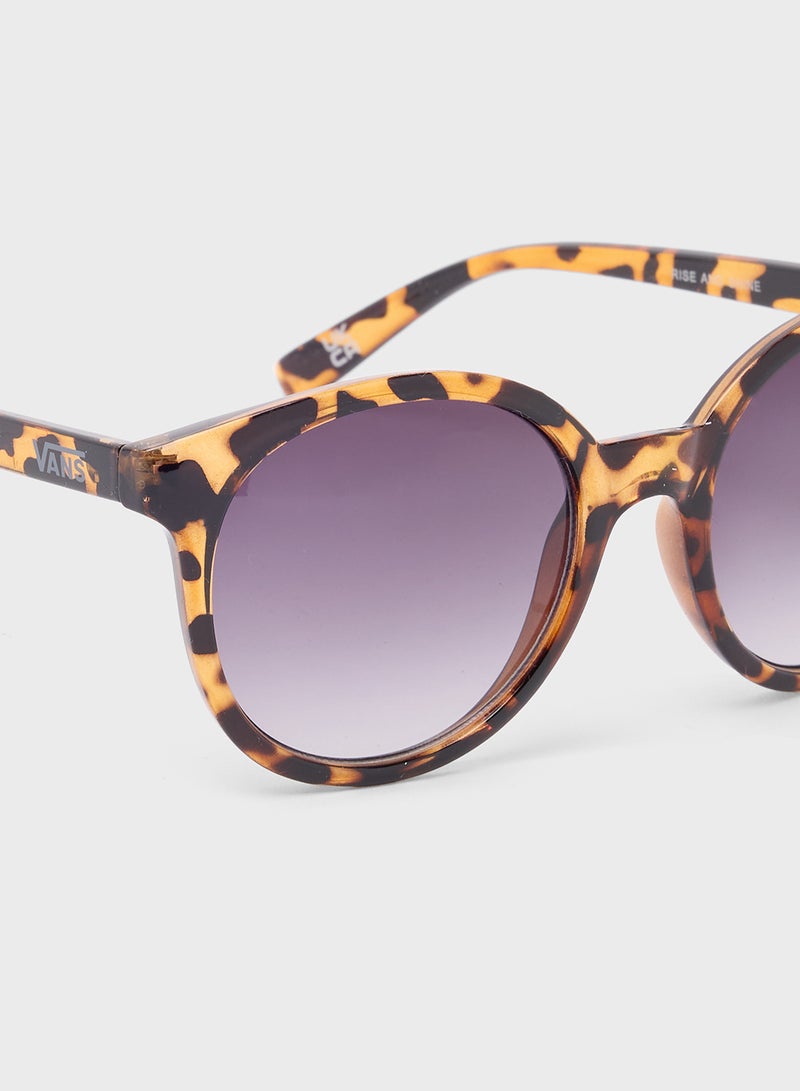 فانز نظارات شمسية للصباح المشرق - Image 3