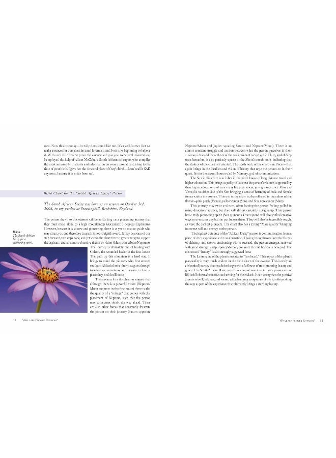 Flower Essences for Well-being: Energetic Healing for Health and Harmony  - Image 3