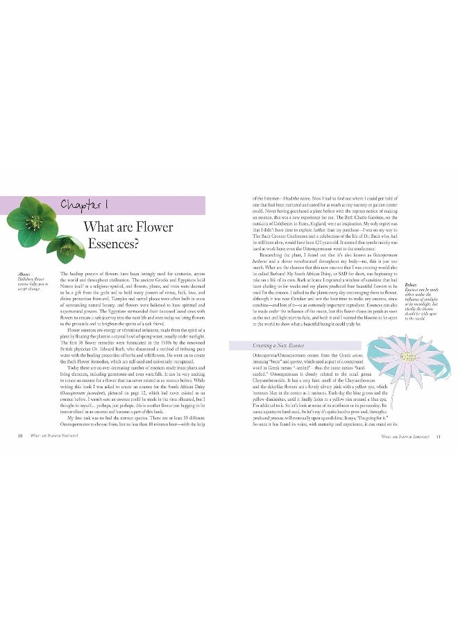 Flower Essences for Well-being: Energetic Healing for Health and Harmony  - Image 2