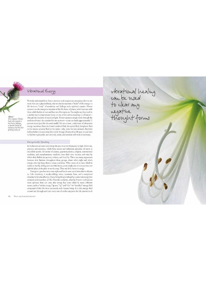 Flower Essences for Well-being: Energetic Healing for Health and Harmony  - Image 4