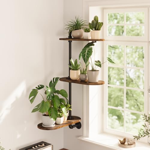 GENTINGBRO Window Plant Shelves 3-Tier Rotating Plant Stand Industrial Window Plant Shelf Wood Wall Mount Decorative Enhanced Indoor Plants Light Exposure Gift Idea for Plant Lovers - Image 1