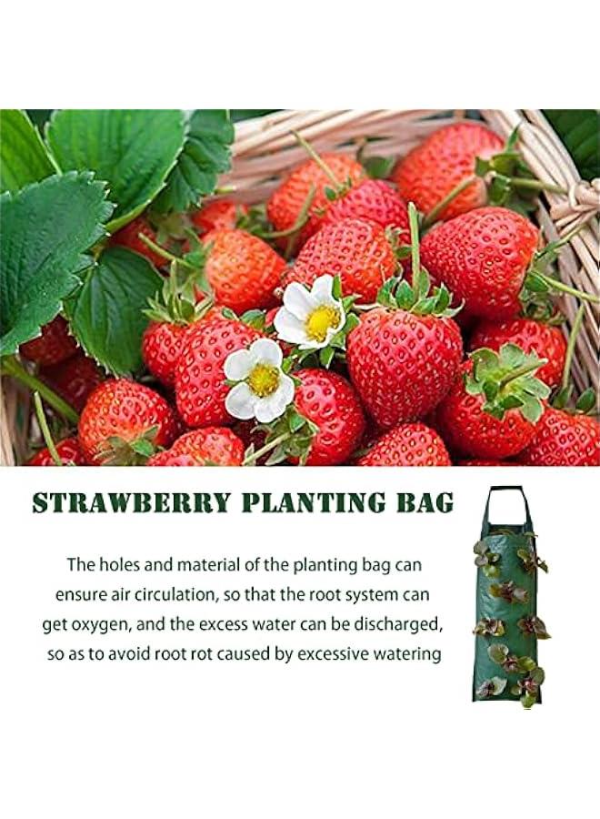 حامل زراعة الطماطم والأعشاب مقلوب 3 قطع | حامل الفراولة المعلق | حامل زراعة مع تهوية | أكياس زراعة معلقة | حقيبة زراعة مقلوبة للطماطم والفراولة والخضروات - Image 4
