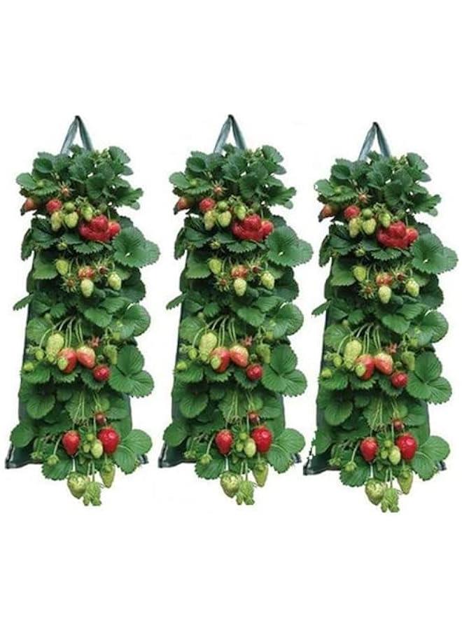 حامل زراعة الطماطم والأعشاب مقلوب 3 قطع | حامل الفراولة المعلق | حامل زراعة مع تهوية | أكياس زراعة معلقة | حقيبة زراعة مقلوبة للطماطم والفراولة والخضروات - Image 1