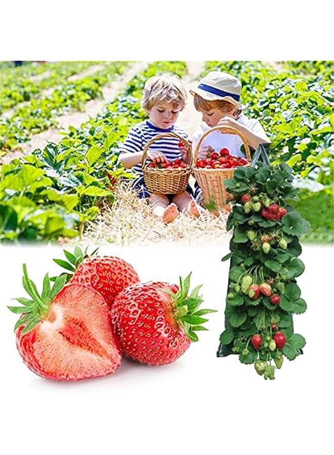 حامل زراعة الطماطم والأعشاب مقلوب 3 قطع | حامل الفراولة المعلق | حامل زراعة مع تهوية | أكياس زراعة معلقة | حقيبة زراعة مقلوبة للطماطم والفراولة والخضروات - Image 5