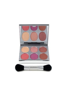 New Again by Jerome Alexander Blusher Palette  Brush 6 Buildable  Blendable Micronized Powder Blushers for All Skin Tones
