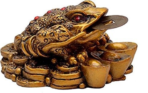 RIPE INDIA® Feng Shui Money Frog (Three Legged Toad) Hold Two Ignots On A Pile of Money for Wealth Luck - Image 5