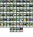 MTG Decks & More Hydra Commander Deck Mono Green EDH 100 Card Custom Magic The Gathering Deck Very Strong - Image 2