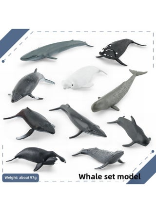 Simulation Whale Shark Tiger Shark Marine Biological Model Deep Sea Prehistoric Ancient Deng's Fish Trilobite Animal Model-Color:BL-1195 Whale Suit Model 97g - pzsku/ZC11354FEB1EEC6563A14Z/45/1746203603/3e79f8db-e393-4676-8e33-8ea1e1dd3445