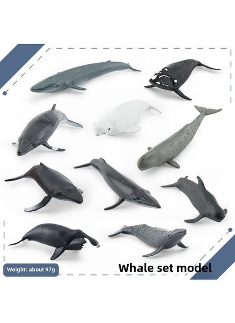 Simulation Whale Shark Tiger Shark Marine Biological Model Deep Sea Prehistoric Ancient Deng's Fish Trilobite Animal Model-Color:BL-1195 Whale Suit Model 97g