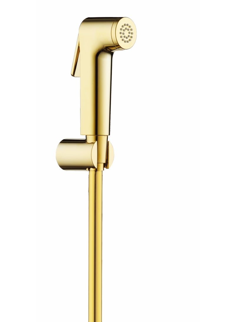 HESANIT Logic Shattaf Sprayer Set with Pipe and Wall Bracket Gold 580100300G - Image 1