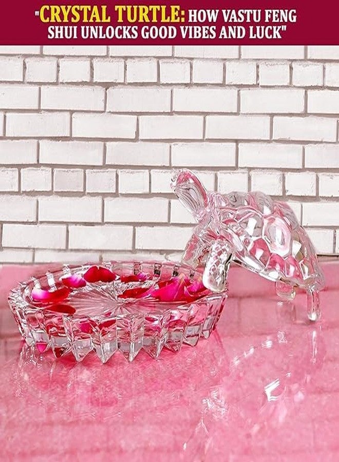 Feng Shui Crystal Turtle with Plate for Good Luck, Health & Wealth, 11cm - Image 4