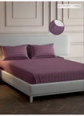 مالبيري ليفينج Plum