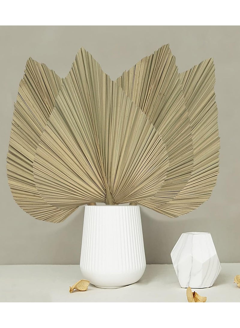 أوراق النخيل المجففة، 4 قطع من مراوح النخيل الطبيعية المجففة، مراوح كبيرة بحجم 18 بوصة، باقة زهور مجففة، لتنسيقات حفلات الزفاف البوهيمية، حفلات المنزل، زينة المطبخ، زينة طاولات المزرعة، ديكور الذكرى السنوية. - Image 1