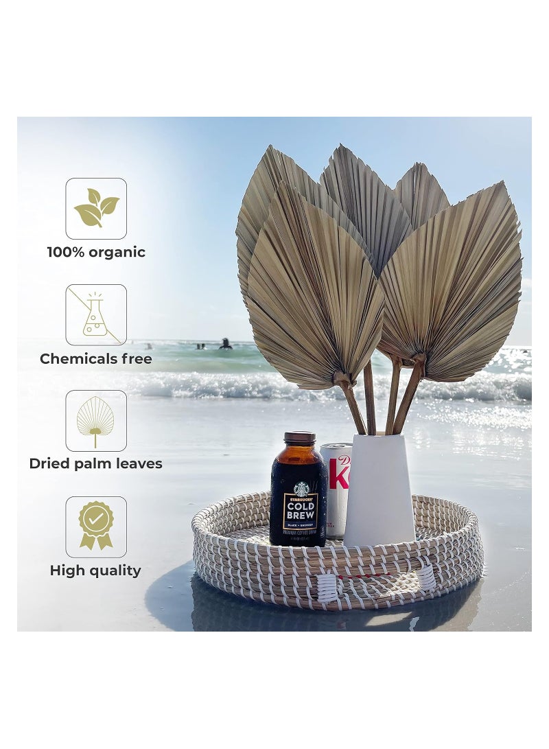 أوراق النخيل المجففة، 4 قطع من مراوح النخيل الطبيعية المجففة، مراوح كبيرة بحجم 18 بوصة، باقة زهور مجففة، لتنسيقات حفلات الزفاف البوهيمية، حفلات المنزل، زينة المطبخ، زينة طاولات المزرعة، ديكور الذكرى السنوية. - Image 3