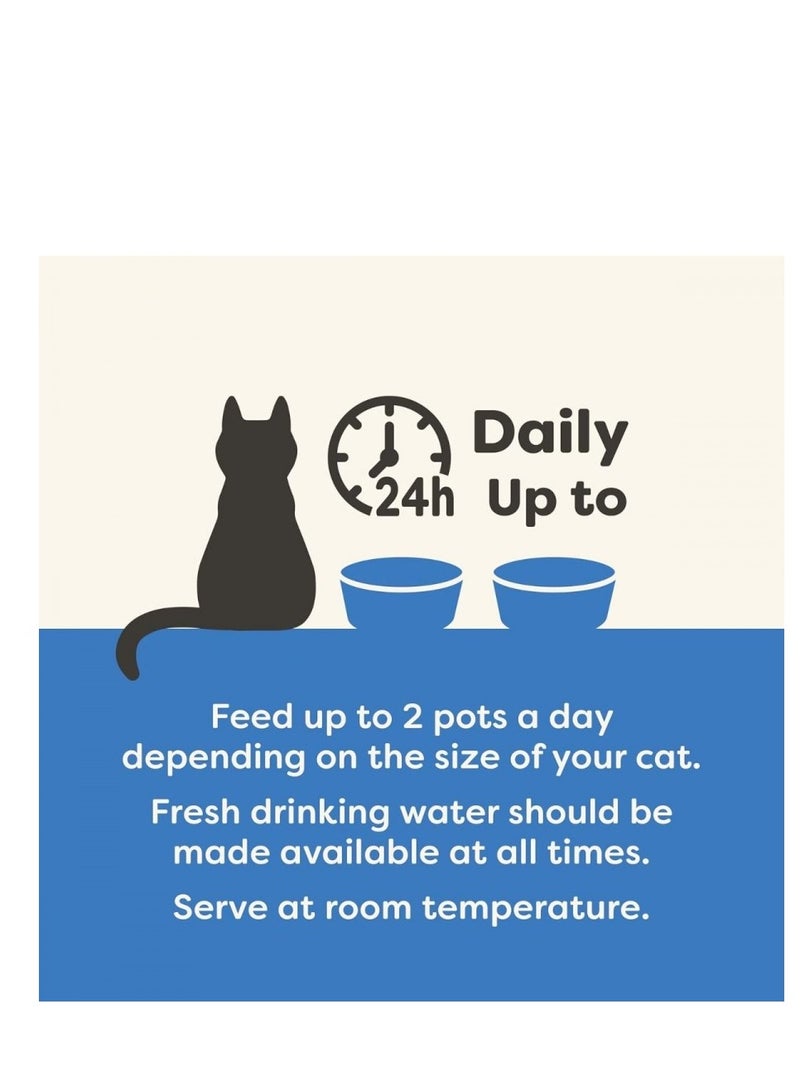 آبلاوس أبلوز مالتيباك فيش سيليكتشن كات - 8 في 1 - Image 4